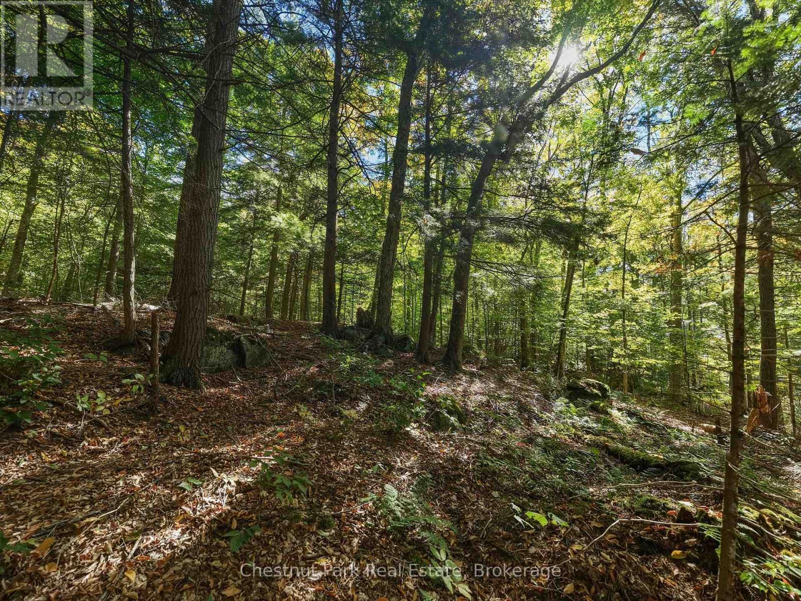 0 Estonian Camp Road, Huntsville, Ontario P0B 1L0 - Photo 6 - X13834346