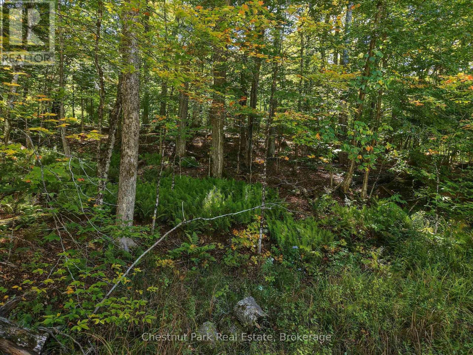 0 Estonian Camp Road, Huntsville, Ontario P0B 1L0 - Photo 9 - X13834346