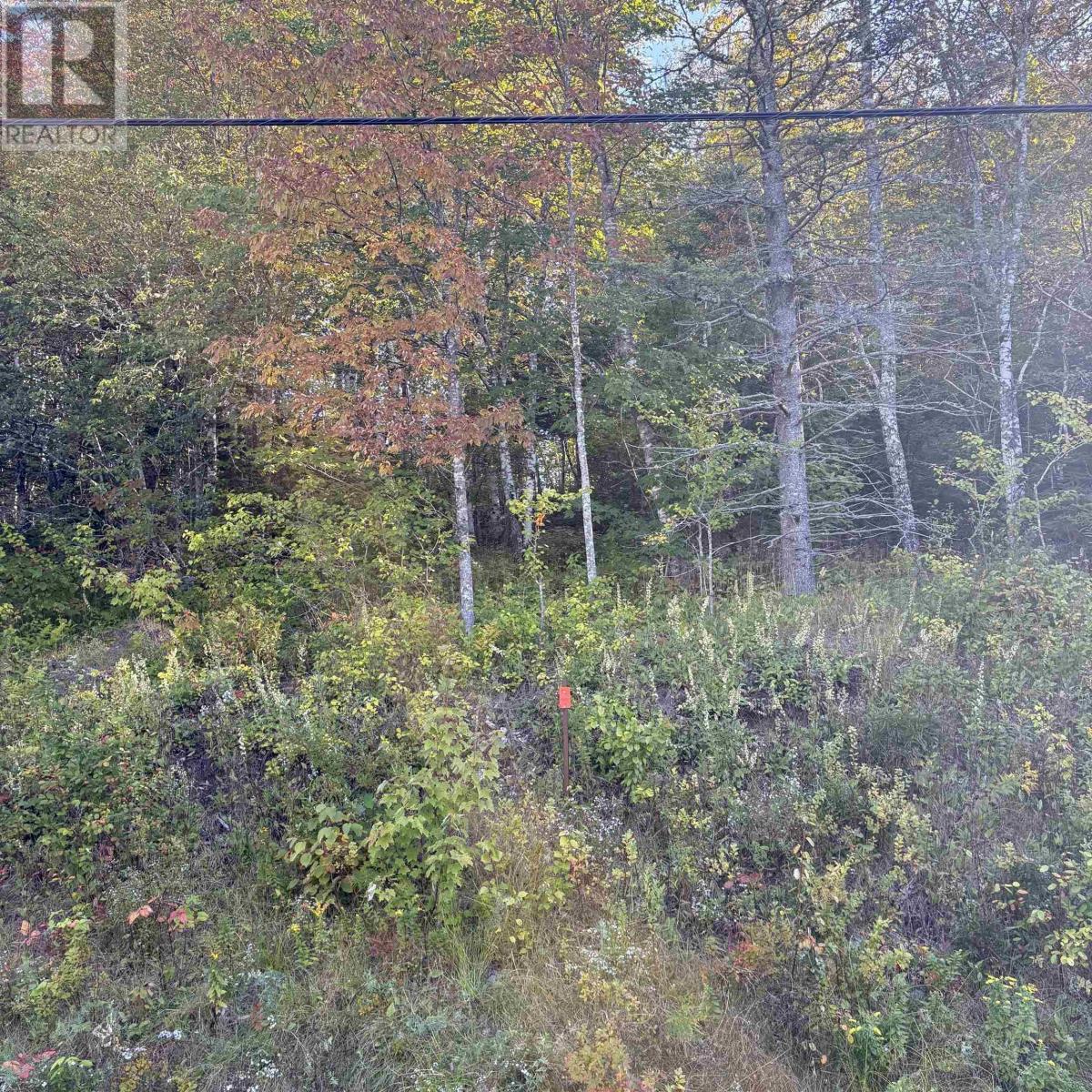 Lot 4 Ohio East Road, st. joseph, Nova Scotia
