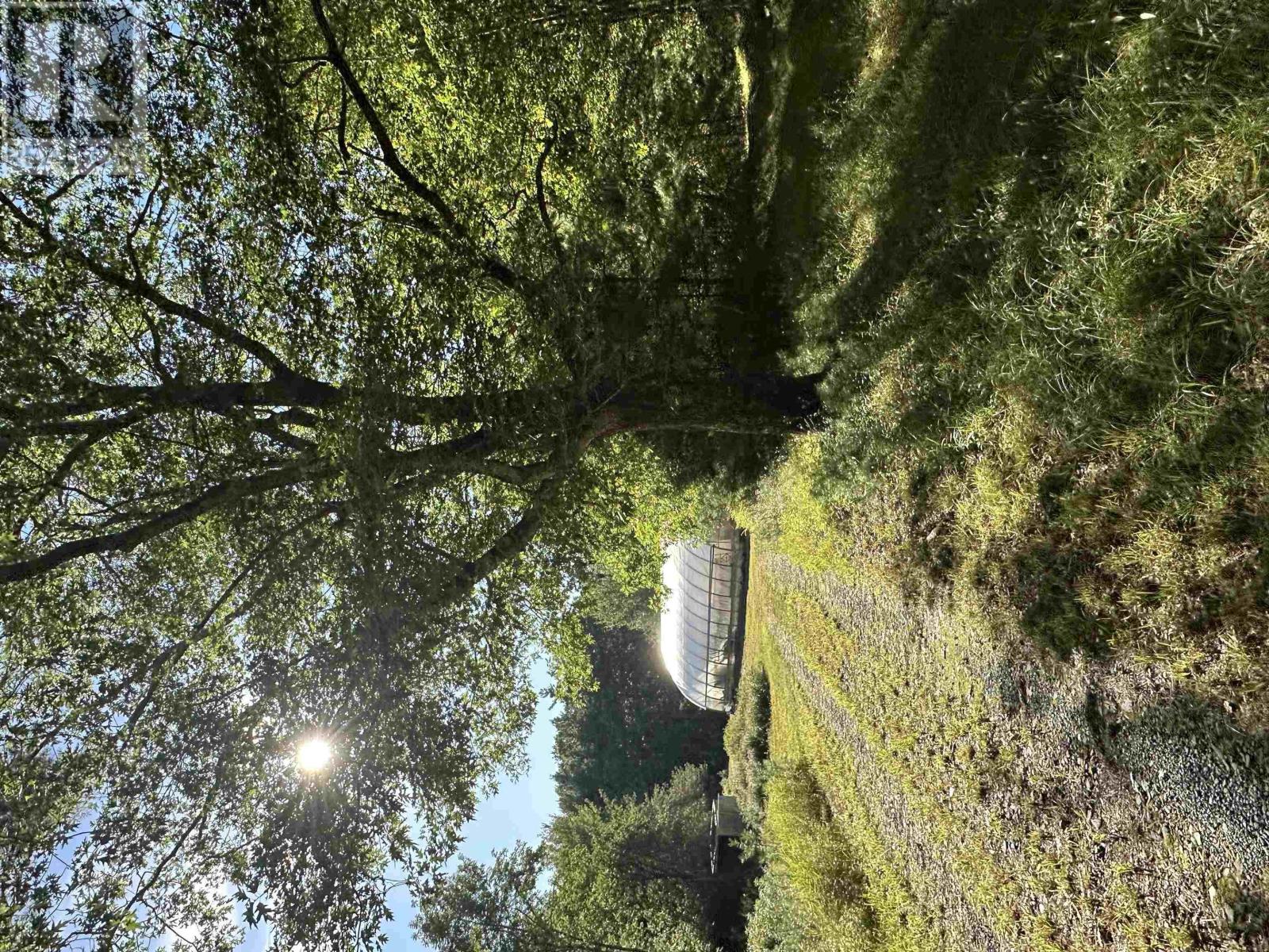 picture 28