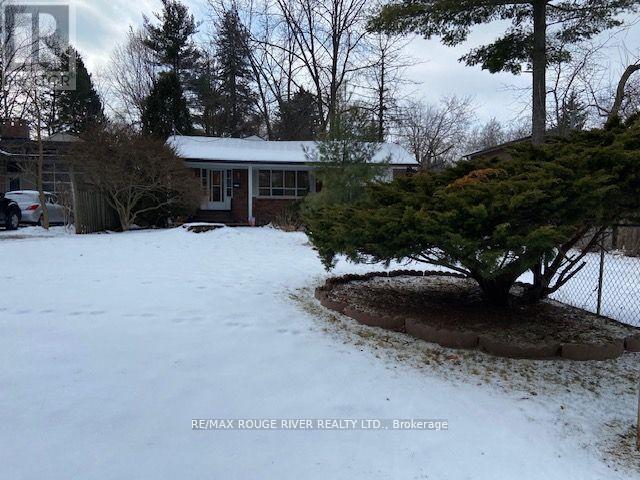 72 Meadowvale Road, Toronto, Ontario  M1C 1S1 - Photo 14 - E12831048