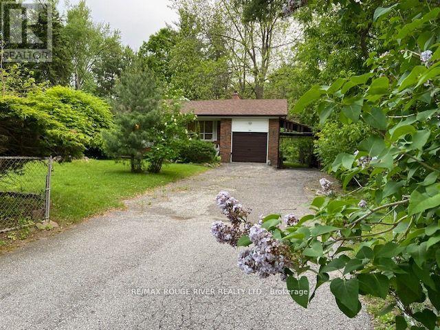 72 Meadowvale Road, Toronto, Ontario  M1C 1S1 - Photo 3 - E12831048