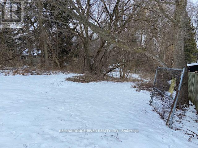 72 Meadowvale Road, Toronto, Ontario  M1C 1S1 - Photo 19 - E12831048
