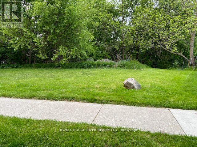 72 Meadowvale Road, Toronto, Ontario  M1C 1S1 - Photo 9 - E12831048