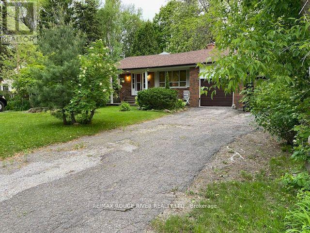 72 Meadowvale Road, Toronto, Ontario  M1C 1S1 - Photo 4 - E12831048