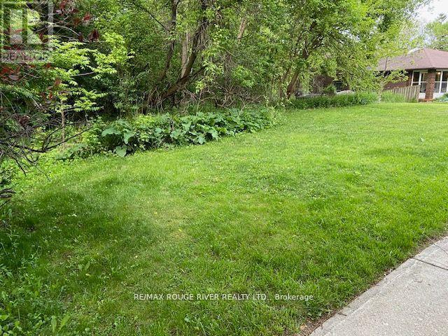 72 Meadowvale Road, Toronto, Ontario  M1C 1S1 - Photo 6 - E12831048