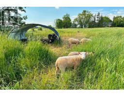 3680 CAMPDEN ROAD, Lincoln, Ontario