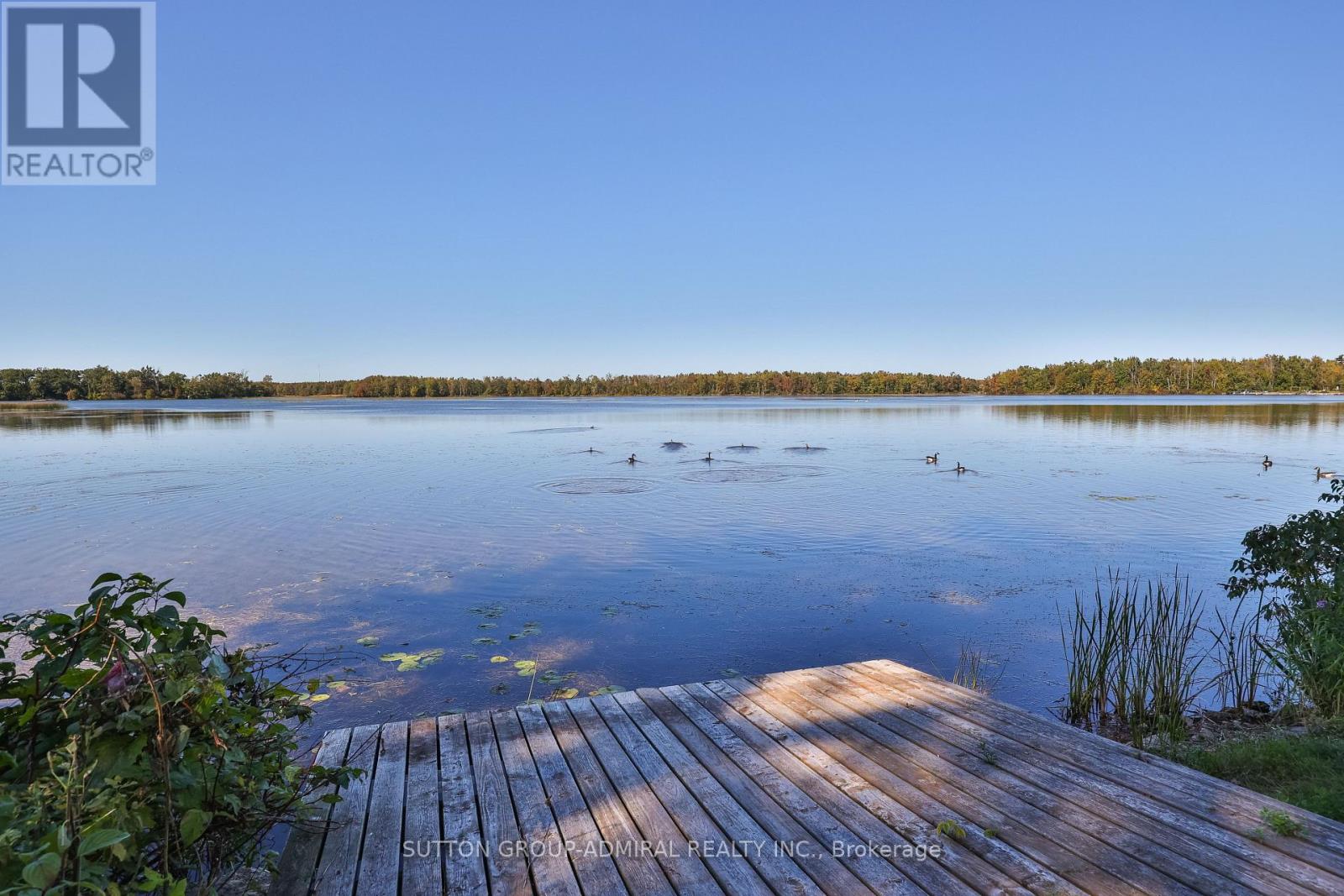 182 Bayshore Drive, Ramara, Ontario  L0K 1B0 - Photo 34 - S13834570