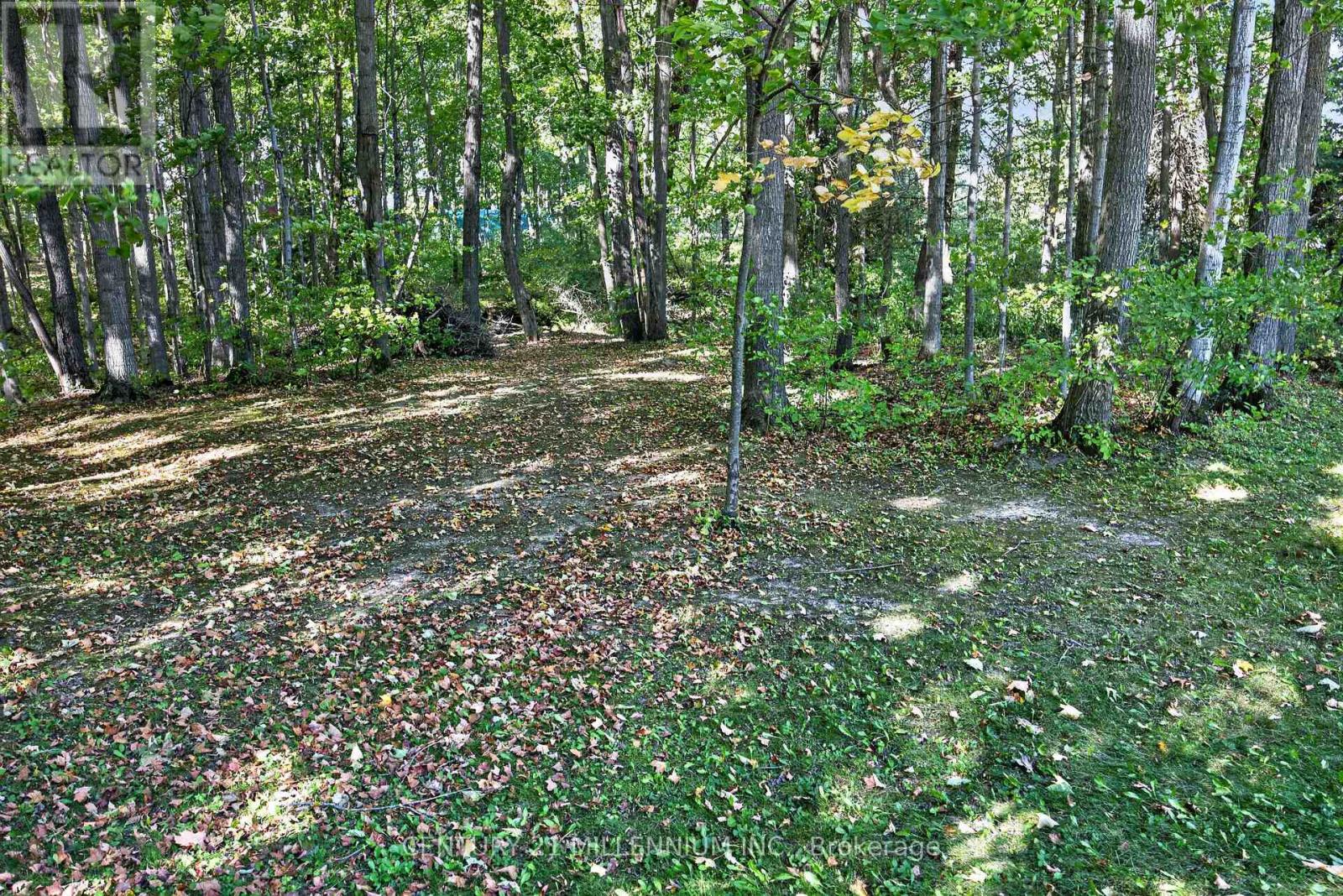 193496 Amaranth - East Luther Townline, East Luther Grand Valley, Ontario  L9W 0N5 - Photo 12 - X13834572