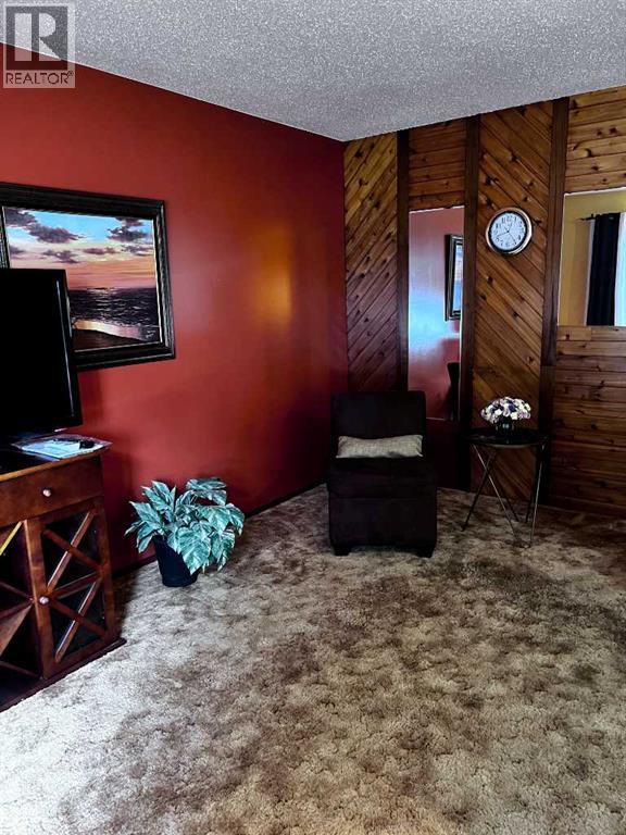 313 3rd Avenue NW, Slave Lake, Alberta  T0G 2A2 - Photo 5 - A2347865