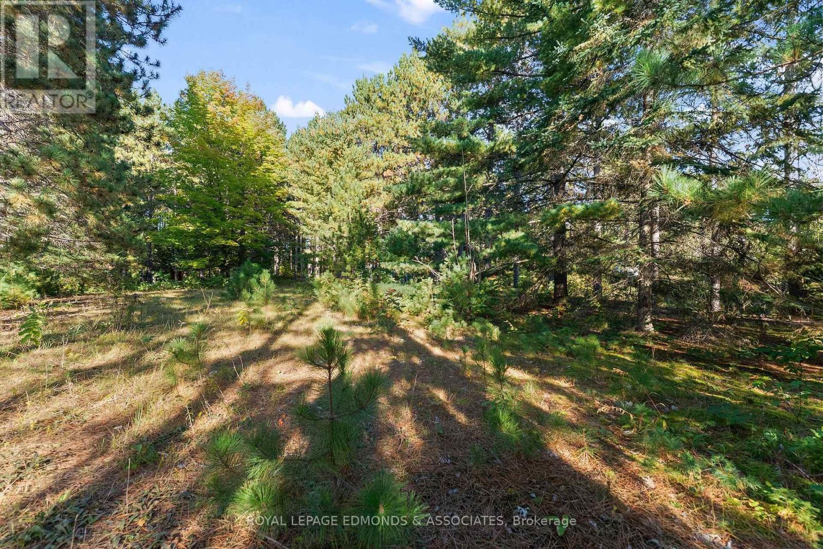 2740 Round Lake Road, Killaloe, Ontario  K0J 2J0 - Photo 10 - X13834896