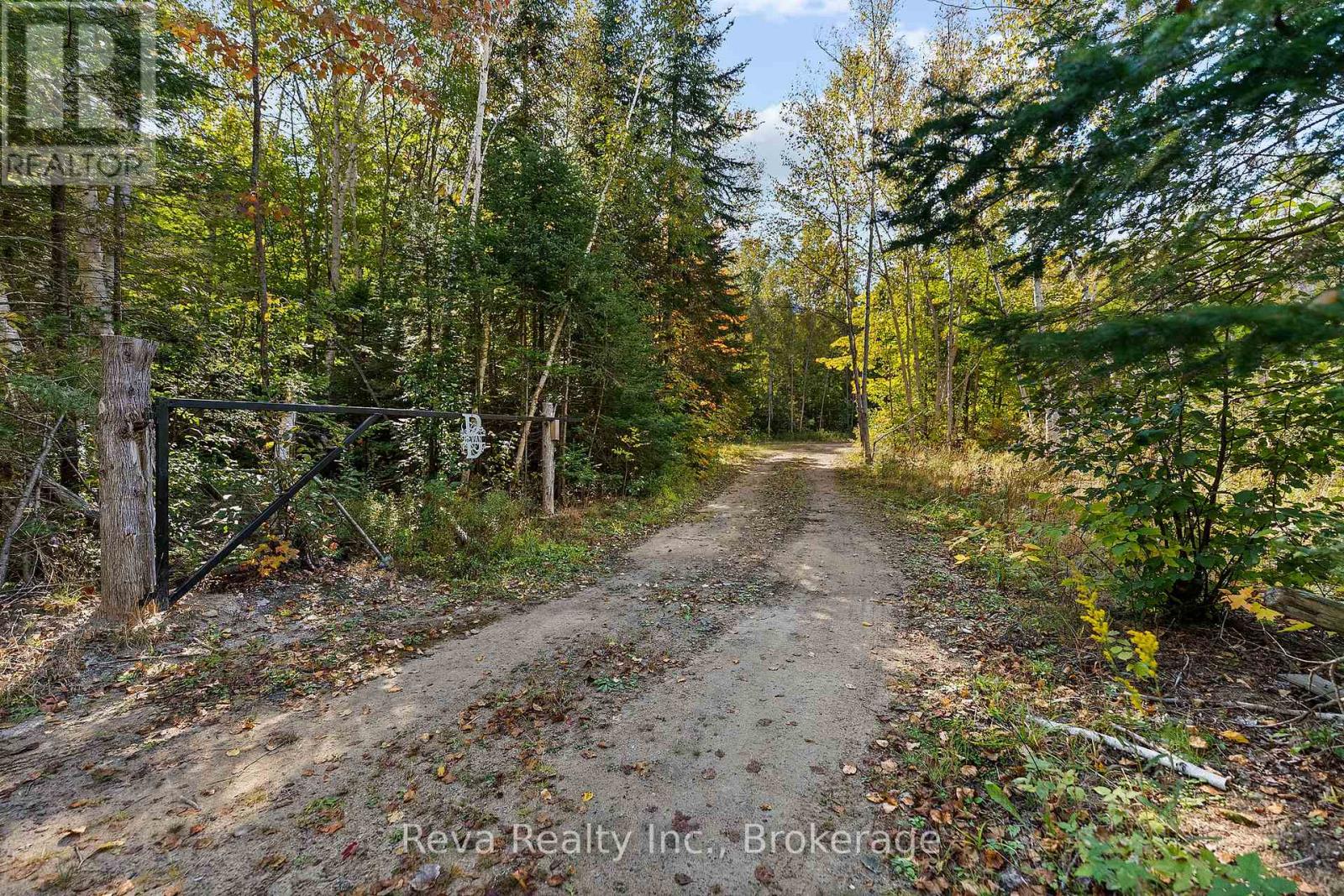 219 Elgin Road, Hastings Highlands, Ontario  K0L 2K0 - Photo 2 - X13743470