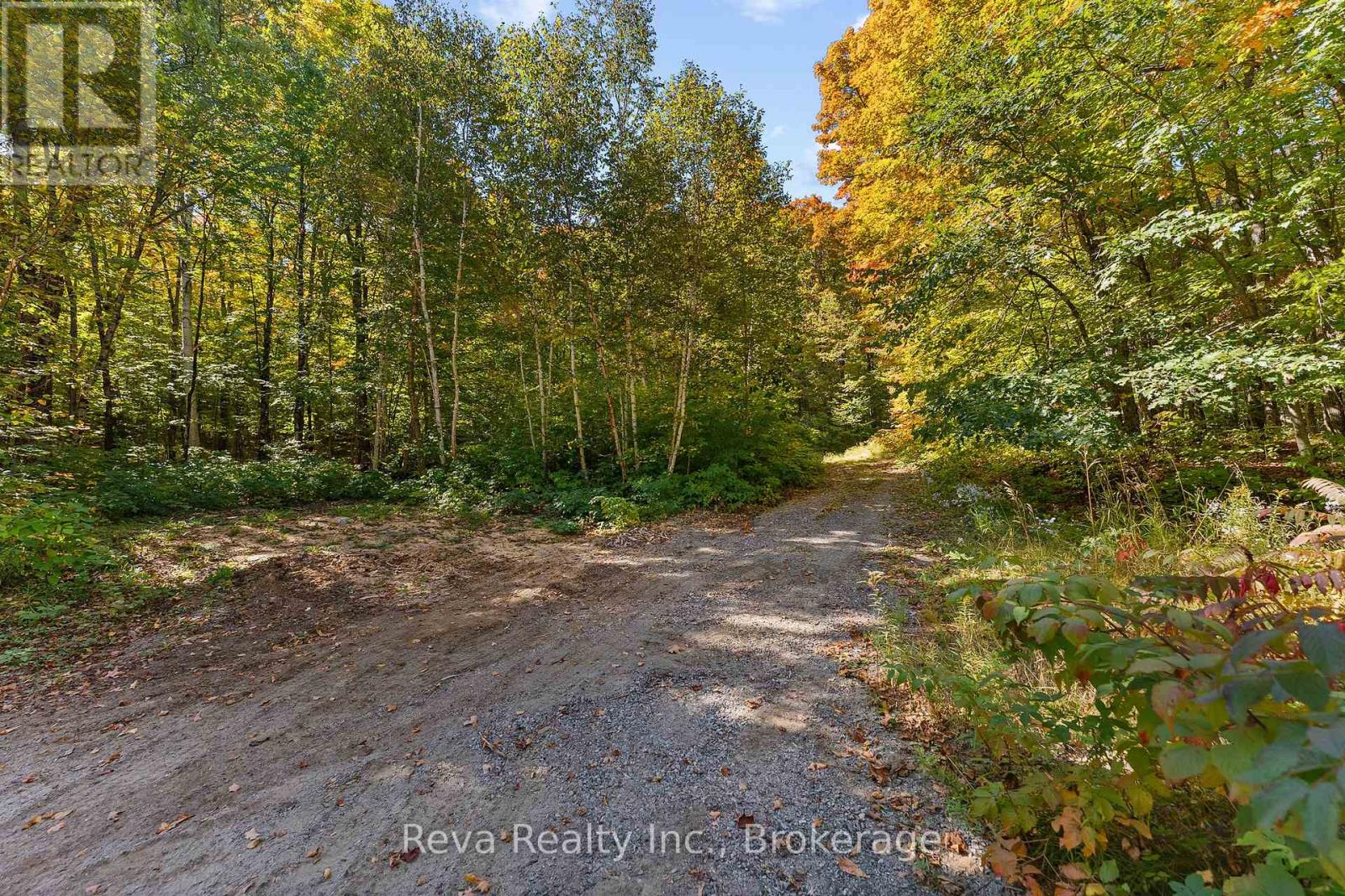 219 Elgin Road, Hastings Highlands, Ontario  K0L 2K0 - Photo 20 - X13743470