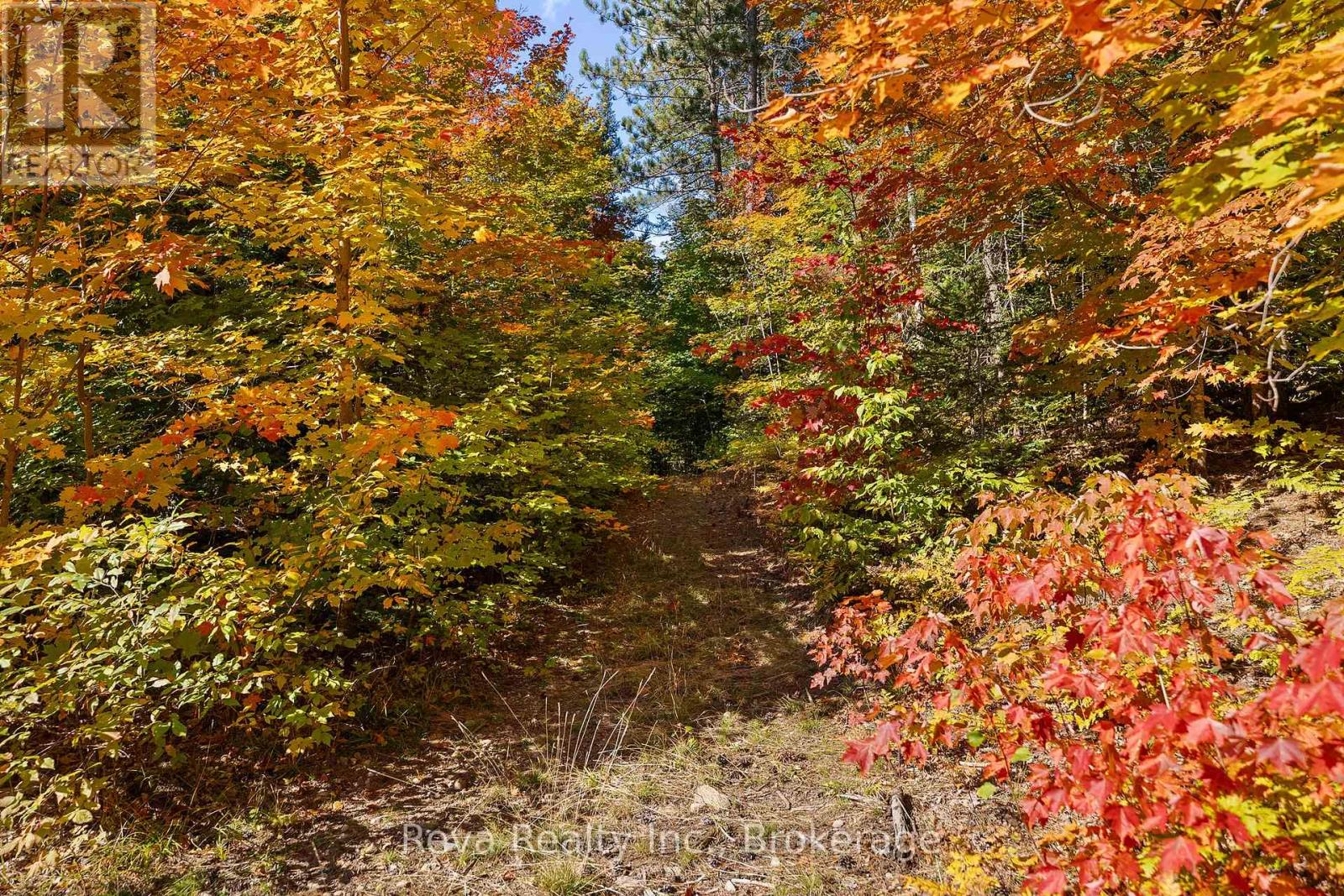 219 Elgin Road, Hastings Highlands, Ontario  K0L 2K0 - Photo 18 - X13743470