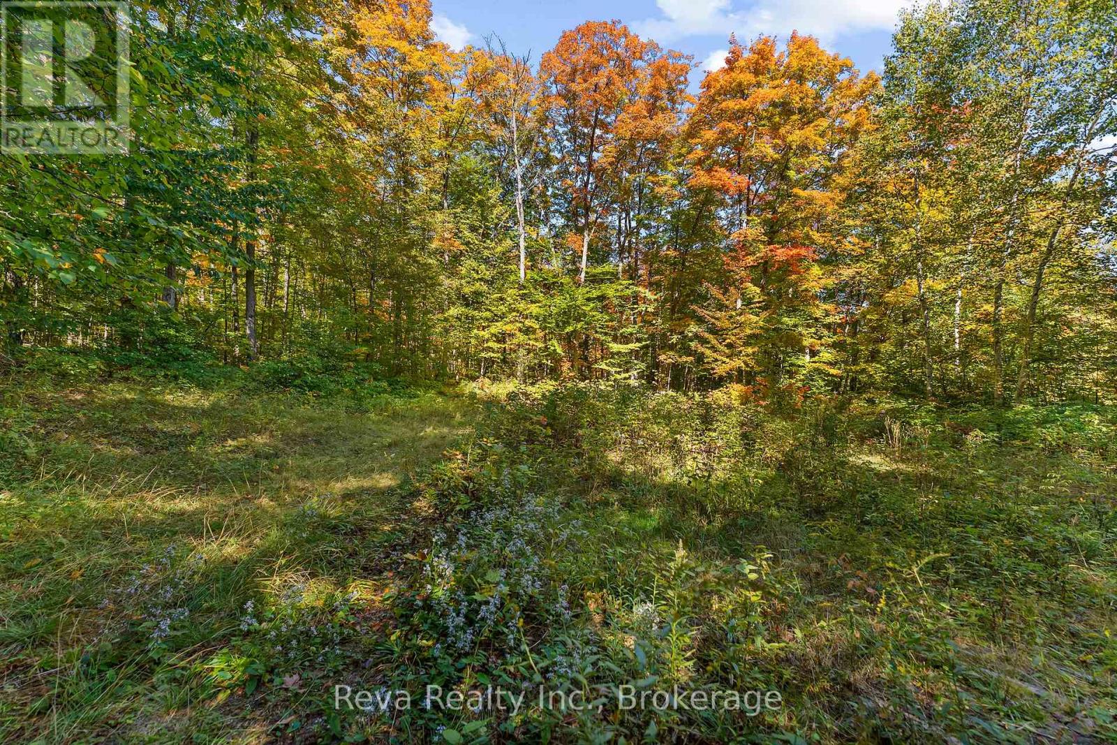219 Elgin Road, Hastings Highlands, Ontario  K0L 2K0 - Photo 22 - X13743470