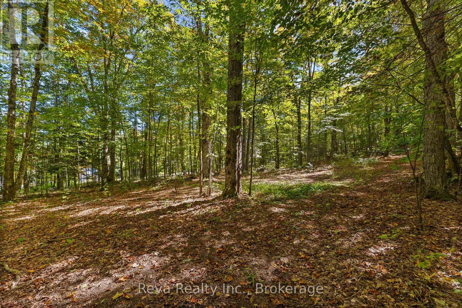 219 Elgin Road, Hastings Highlands, Ontario  K0L 2K0 - Photo 23 - X13743470
