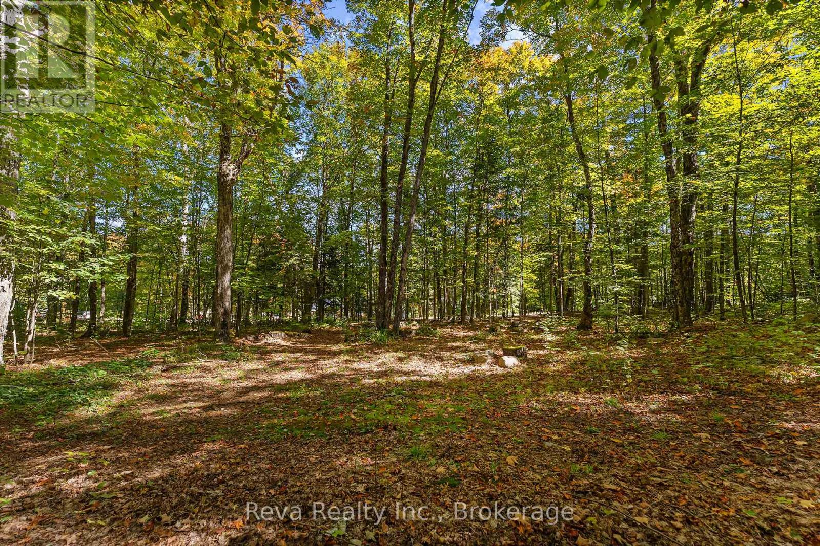 219 Elgin Road, Hastings Highlands, Ontario  K0L 2K0 - Photo 24 - X13743470