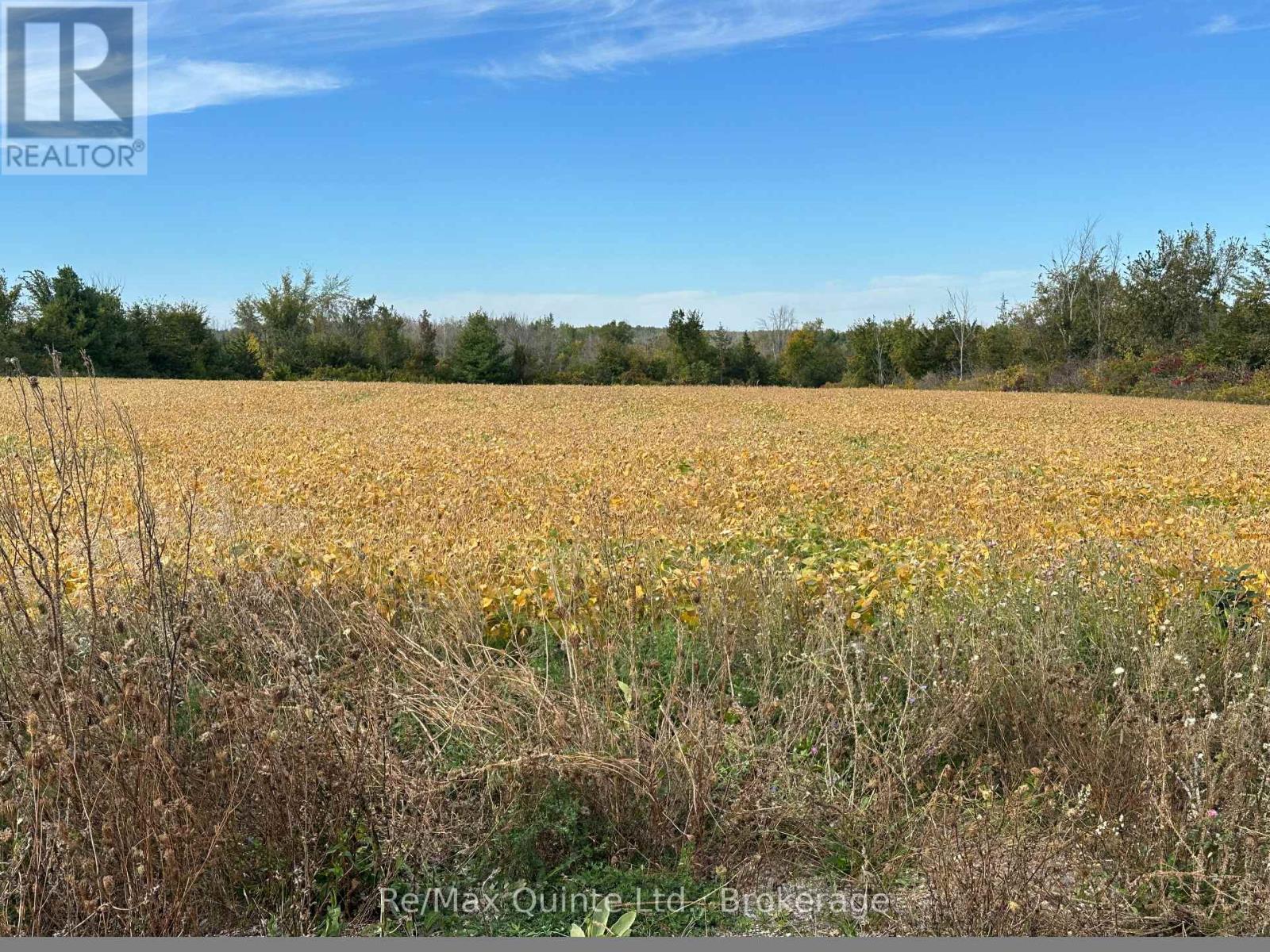 1807 Marysville Road, Tyendinaga, Ontario  K0K 2N0 - Photo 2 - X13835162