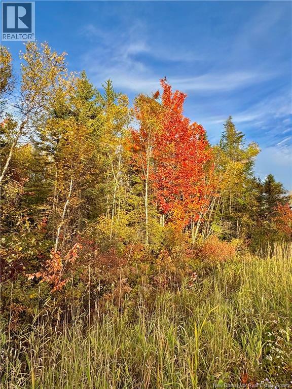Vacant Lot Route 430, Miramichi, New Brunswick  E1V 4Z2 - Photo 3 - NB147567