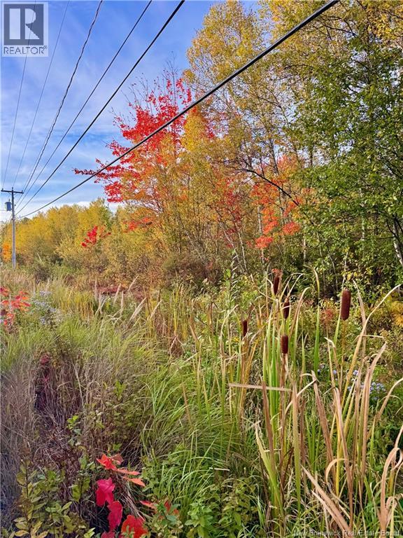 Vacant Lot Route 430, Miramichi, New Brunswick  E1V 4Z2 - Photo 2 - NB147567