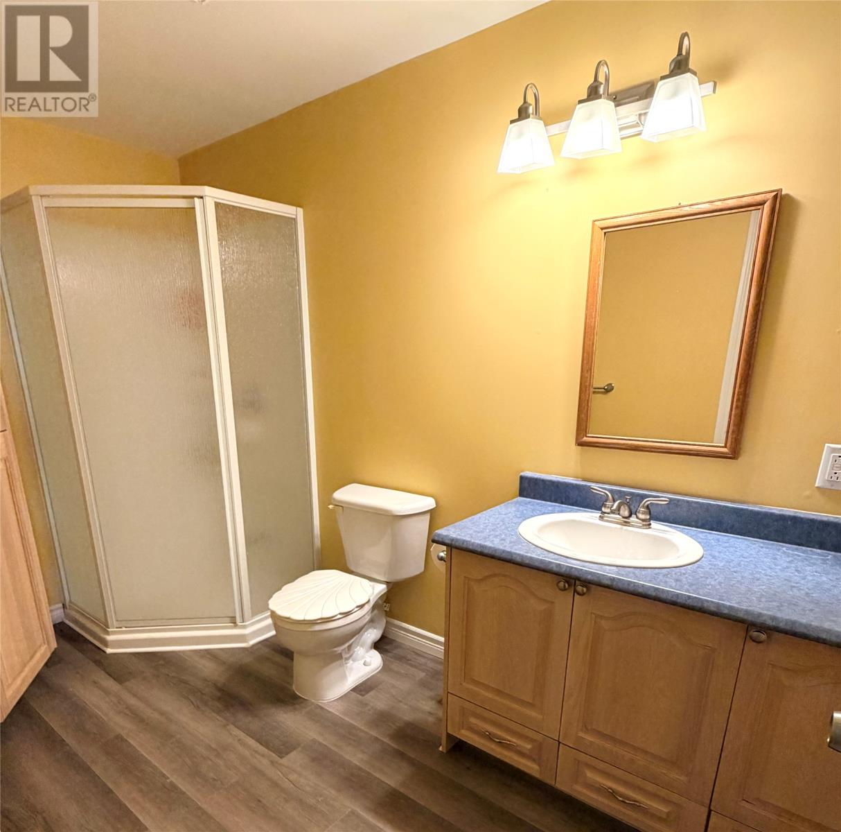 45 Finn Avenue, Grand Falls-Windsor — photo 19