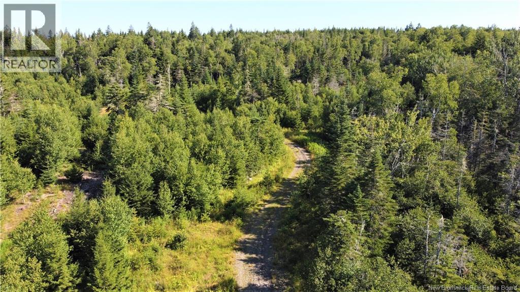 Edgar Lane Extension, Pennfield, New Brunswick  E5A 1E2 - Photo 18 - NB148647