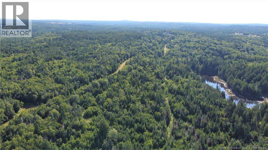 Edgar Lane Extension, Pennfield, New Brunswick  E5A 1E2 - Photo 19 - NB148647
