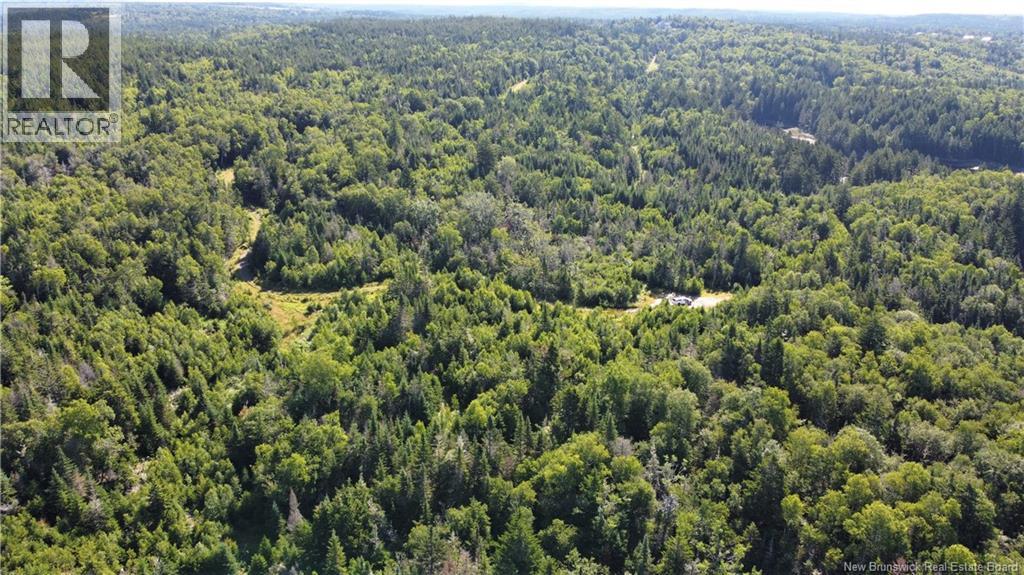 Edgar Lane Extension, Pennfield, New Brunswick  E5A 1E2 - Photo 22 - NB148647