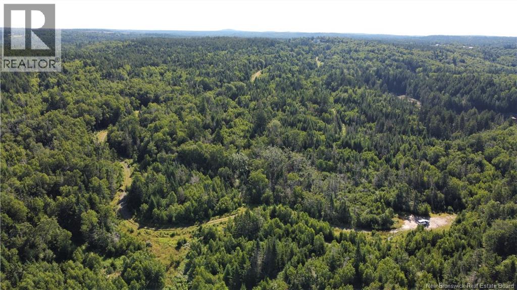 Edgar Lane Extension, Pennfield, New Brunswick  E5A 1E2 - Photo 23 - NB148647