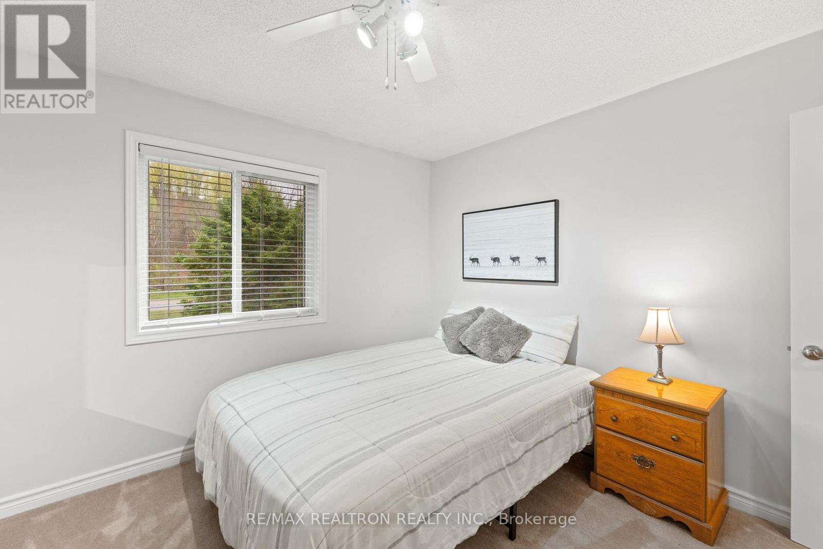 8977 Boyne River Road, Adjala-Tosorontio, Ontario  L0M 1J0 - Photo 27 - N13835034