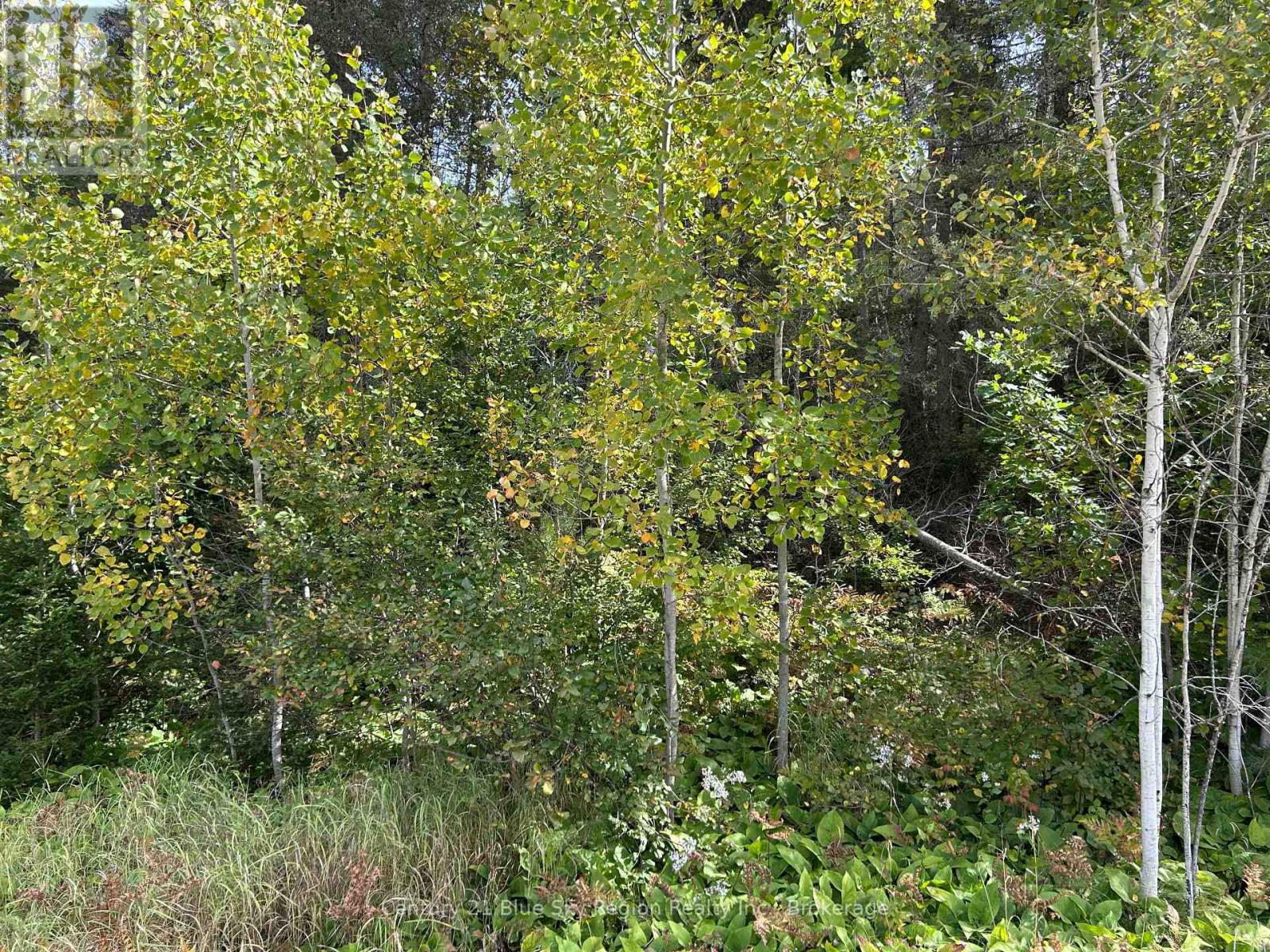 Pcl 28216 Highway 531, Bonfield, Ontario  P0H 1E0 - Photo 6 - X13810504