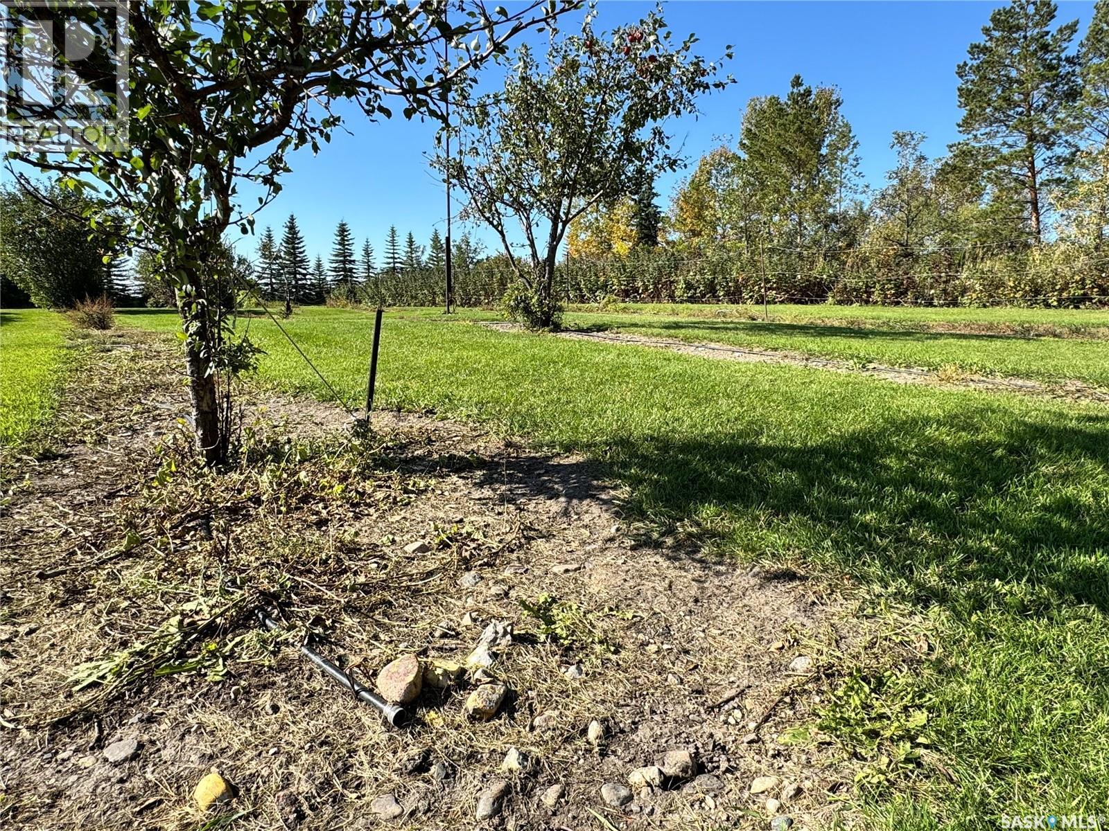 2 Quarters & Beautiful Yard Site Near Wapella, Martin Rm No. 122, Saskatchewan  S0G 4Z0 - Photo 53 - SK049730