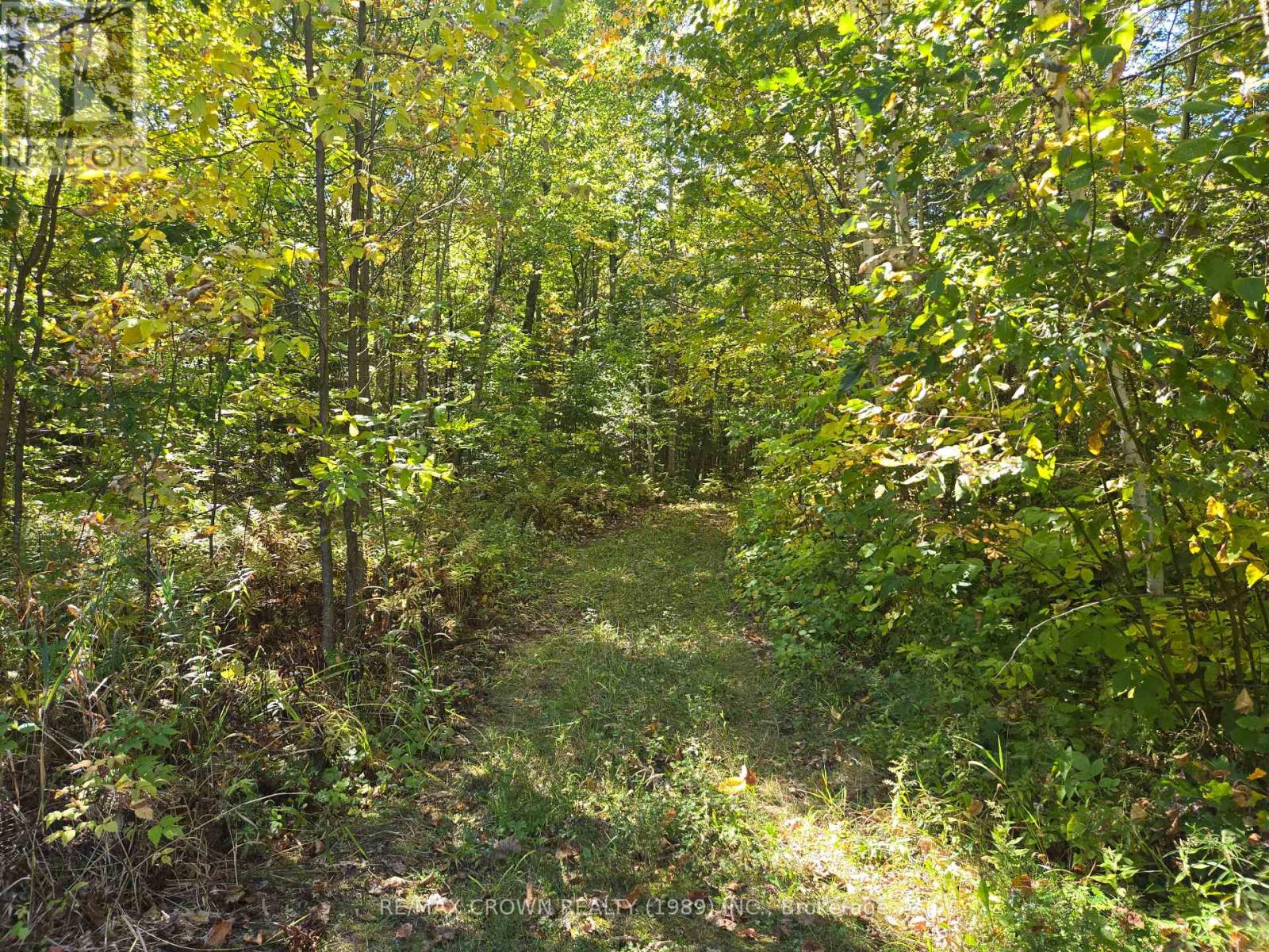 40 Fortin Drive, West Nipissing, Ontario  P0H 2M0 - Photo 12 - X13835450