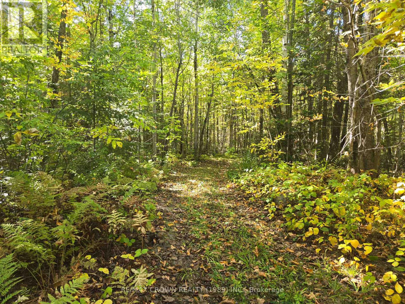 40 Fortin Drive, West Nipissing, Ontario  P0H 2M0 - Photo 13 - X13835450