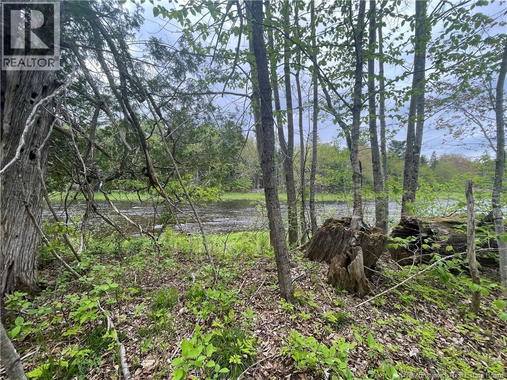 00 Mill Settlement Road, Hoyt, New Brunswick  E5L 2H1 - Photo 27 - NB148659