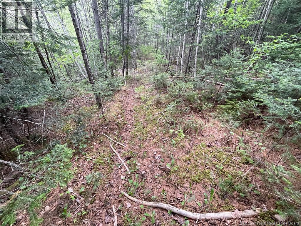00 Mill Settlement Road, Hoyt, New Brunswick  E5L 2H1 - Photo 29 - NB148659