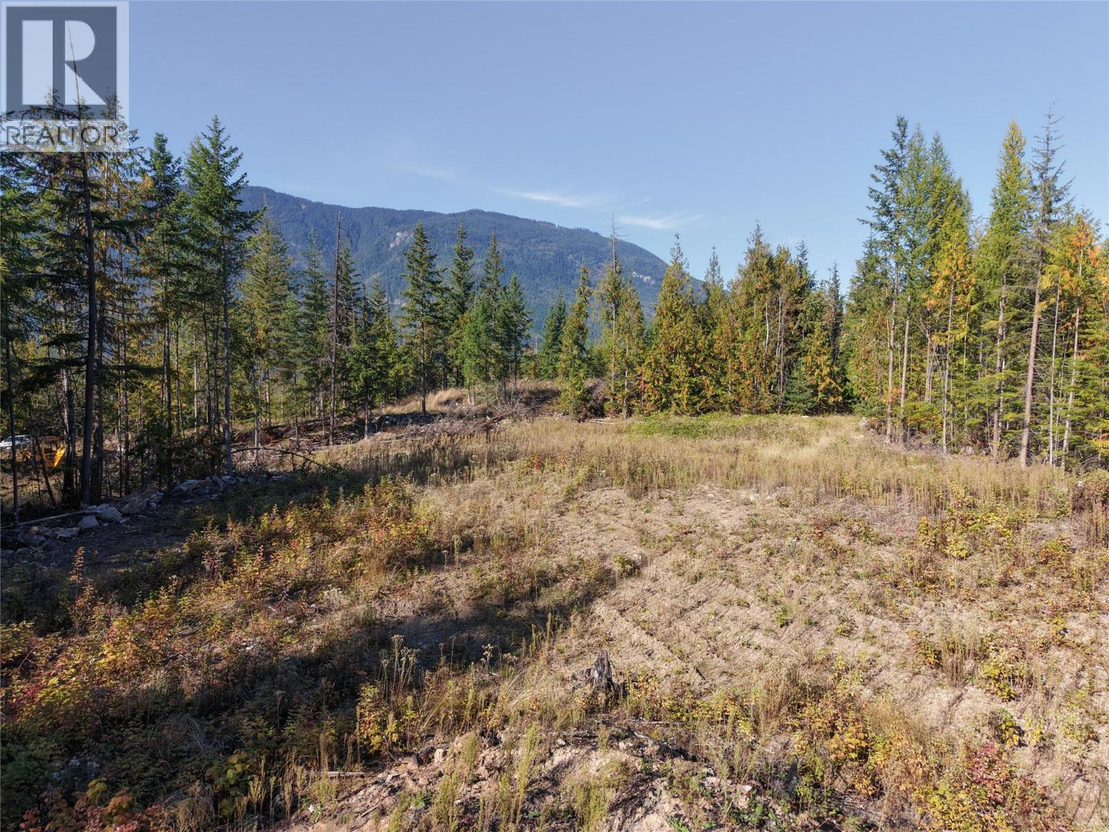 picture 39