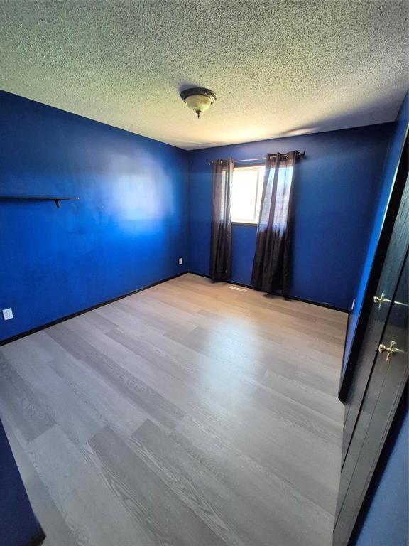 32 1st Avenue SW, Minnedosa, Manitoba  R0J 1E0 - Photo 13 - 202624343