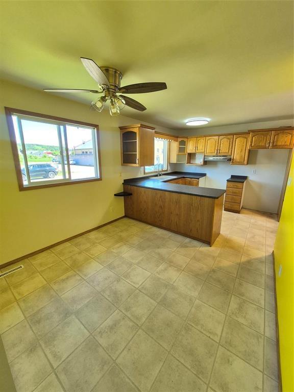32 1st Avenue SW, Minnedosa, Manitoba  R0J 1E0 - Photo 6 - 202624343