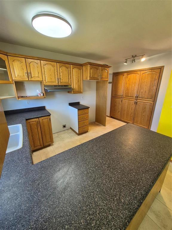 32 1st Avenue SW, Minnedosa, Manitoba  R0J 1E0 - Photo 4 - 202624343