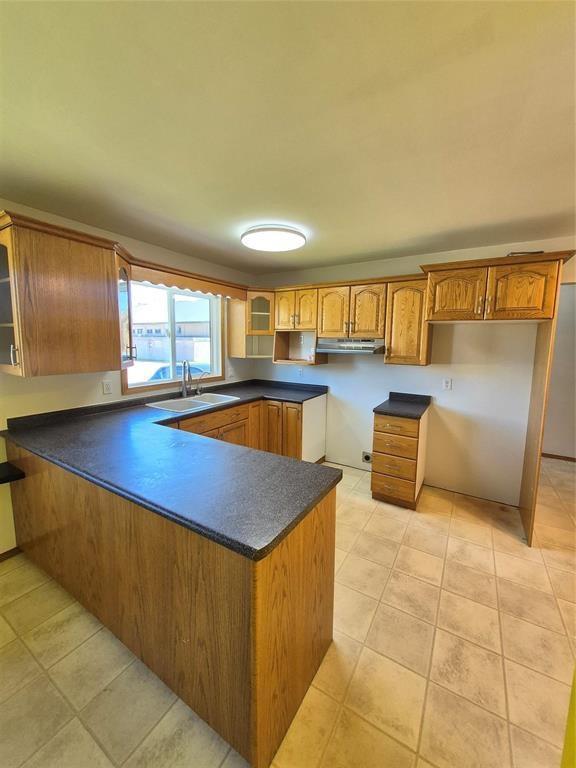 32 1st Avenue SW, Minnedosa, Manitoba  R0J 1E0 - Photo 2 - 202624343