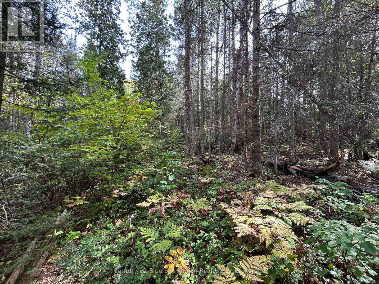 Pcl 28216 Highway 531, Bonfield, Ontario  P0H 1E0 - Photo 2 - X13810504