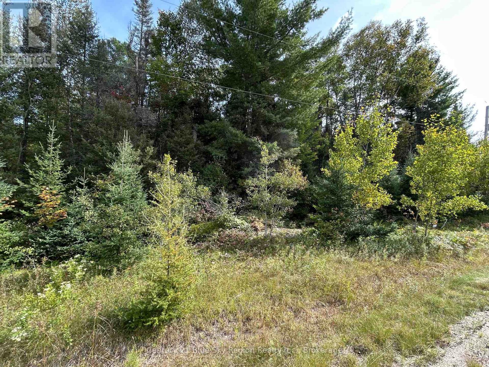 Pcl 28216 Highway 531, Bonfield, Ontario  P0H 1E0 - Photo 3 - X13810504