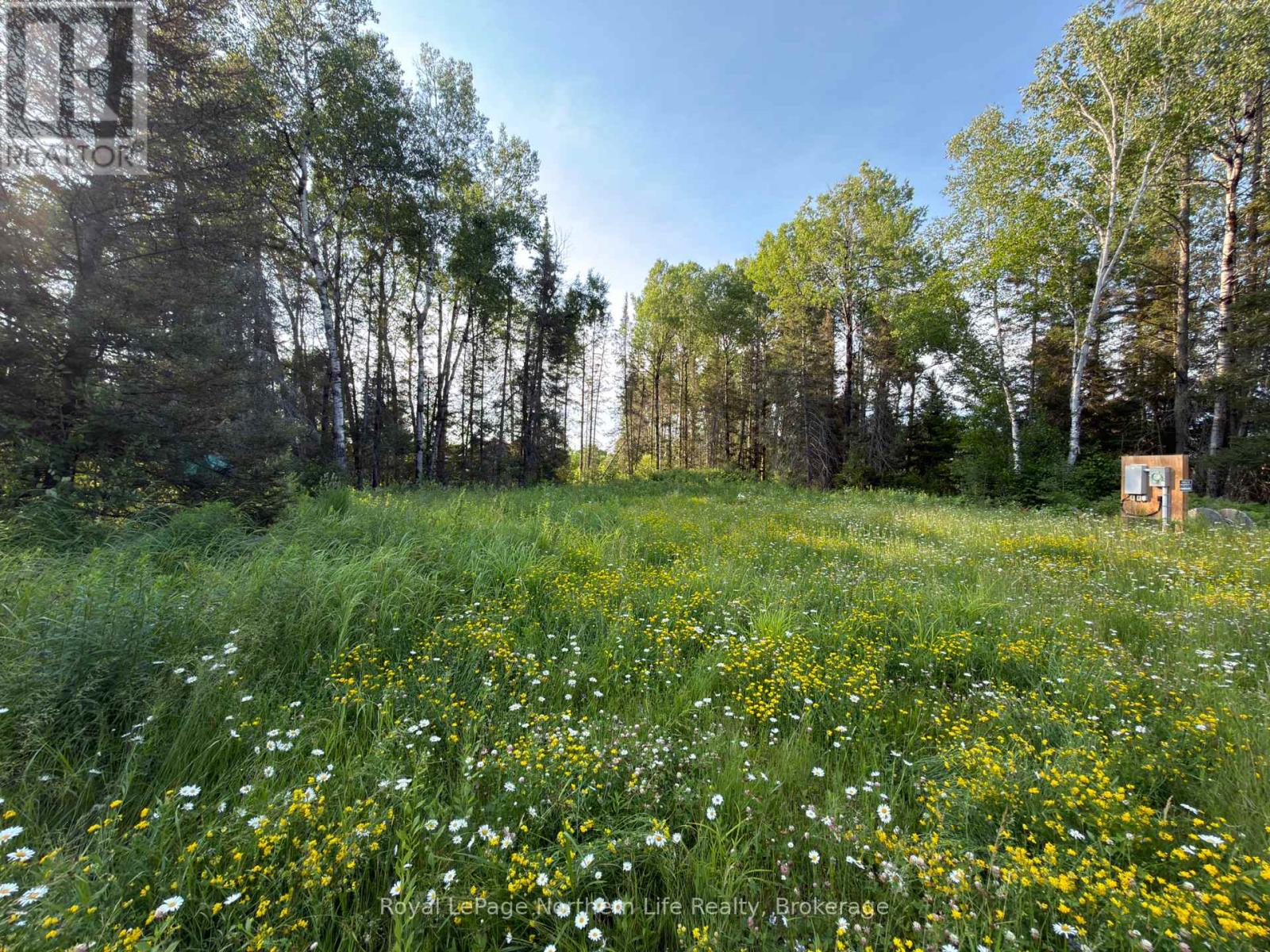 461 Alderdale Road, Chisholm, Ontario  P0H 1B0 - Photo 5 - X13834830