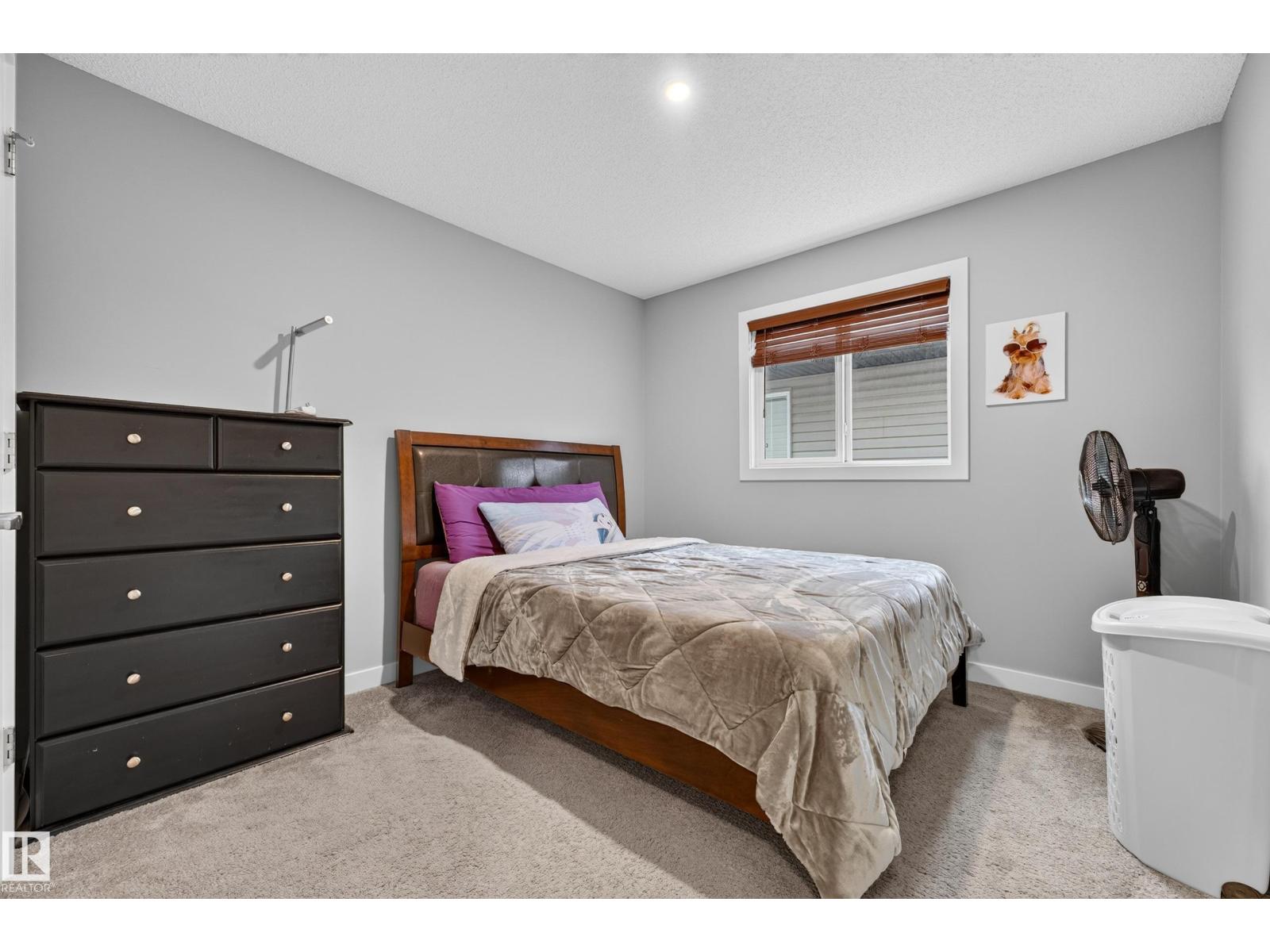 20503 99 Av Nw, Edmonton, Alberta  T5T 7L5 - Photo 32 - E4510721