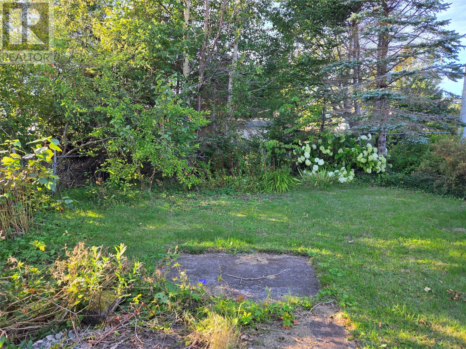 26 Forest Road, Marystown — photo 43