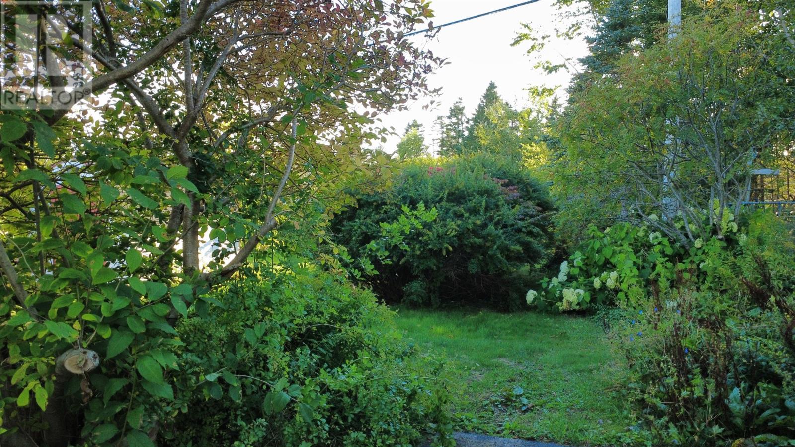 26 Forest Road, Marystown — photo 45