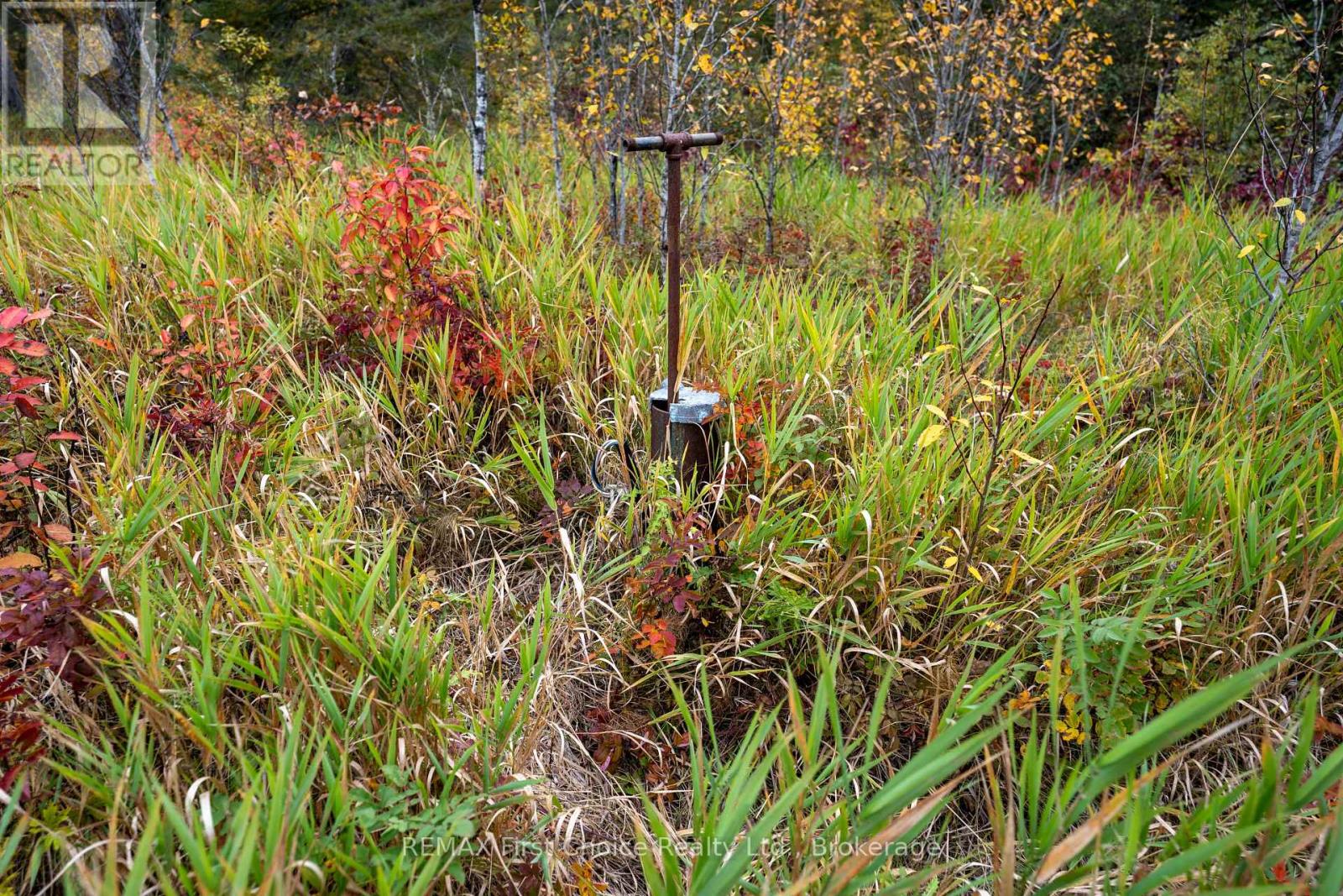 470 Auto Road, Thunder Bay Remote Area, Ontario  P0T 1X0 - Photo 25 - X13835872
