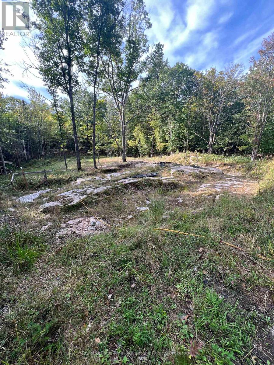 69 Carling Bay Road W, Carling, Ontario P0G 1G0 - Photo 5 - X13836038
