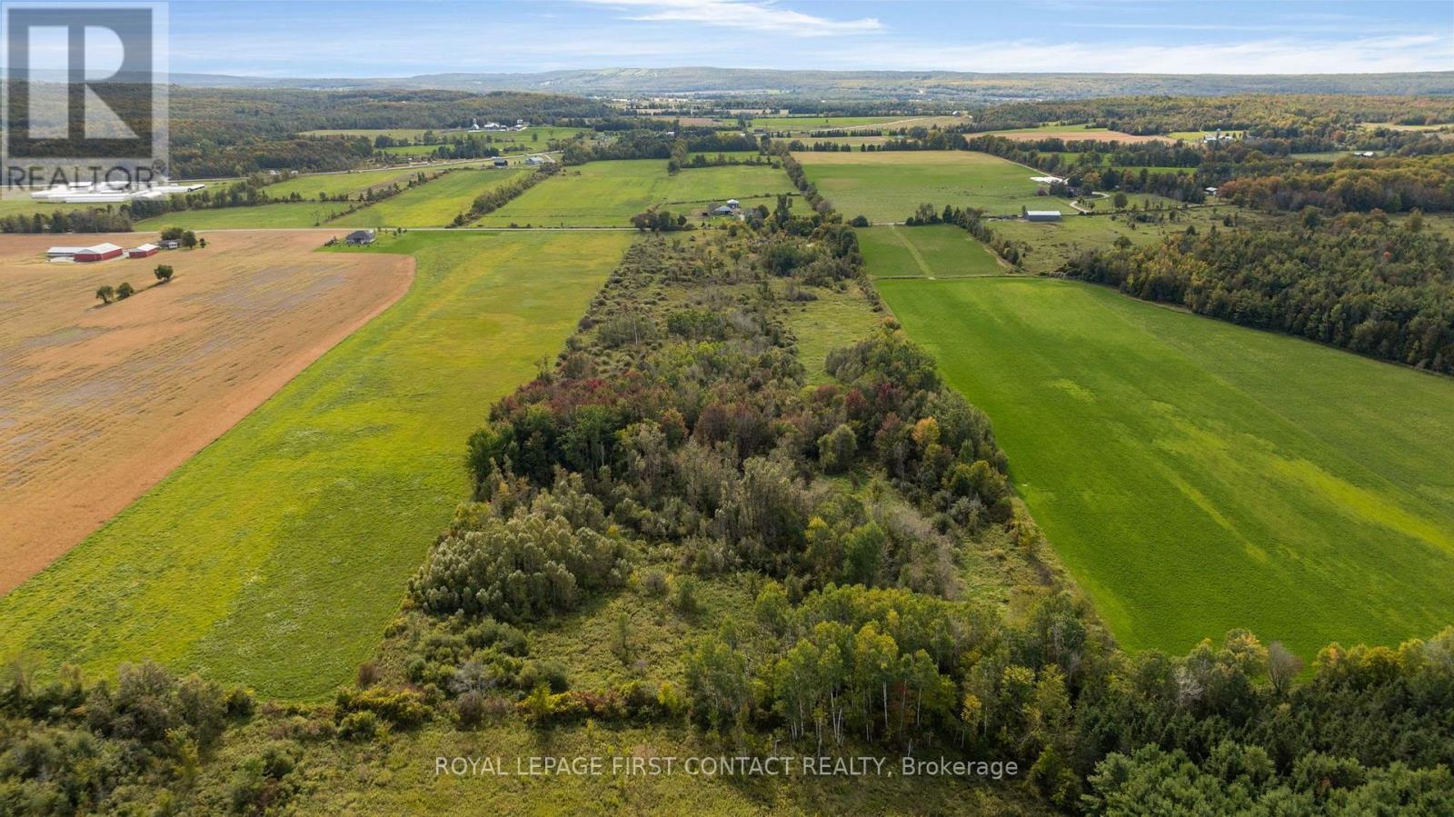2463 Dunns Line, Oro-Medonte, Ontario L0K 1E0 - Photo 10 - S13835938
